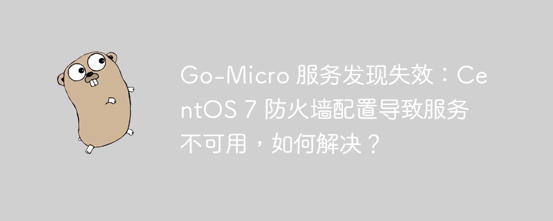 Go-Micro 服务发现失效:CentOS 7 防火墙配置导致服务不可用,如何解决?