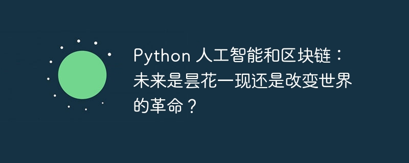 Python 人工智能和区块链:未来是昙花一现还是改变世界的革命?