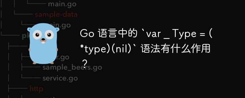 Go 语言中的 `var _ Type = (*type)(nil)` 语法有什么作用?