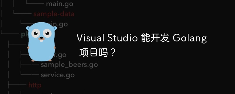 Visual Studio 能开发 Golang 项目吗?