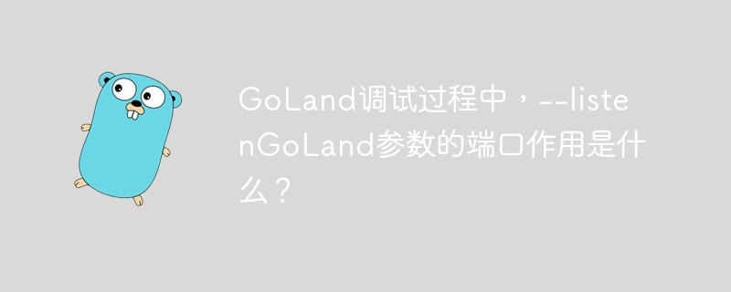GoLand调试过程中,--listenGoLand参数的端口作用是什么?