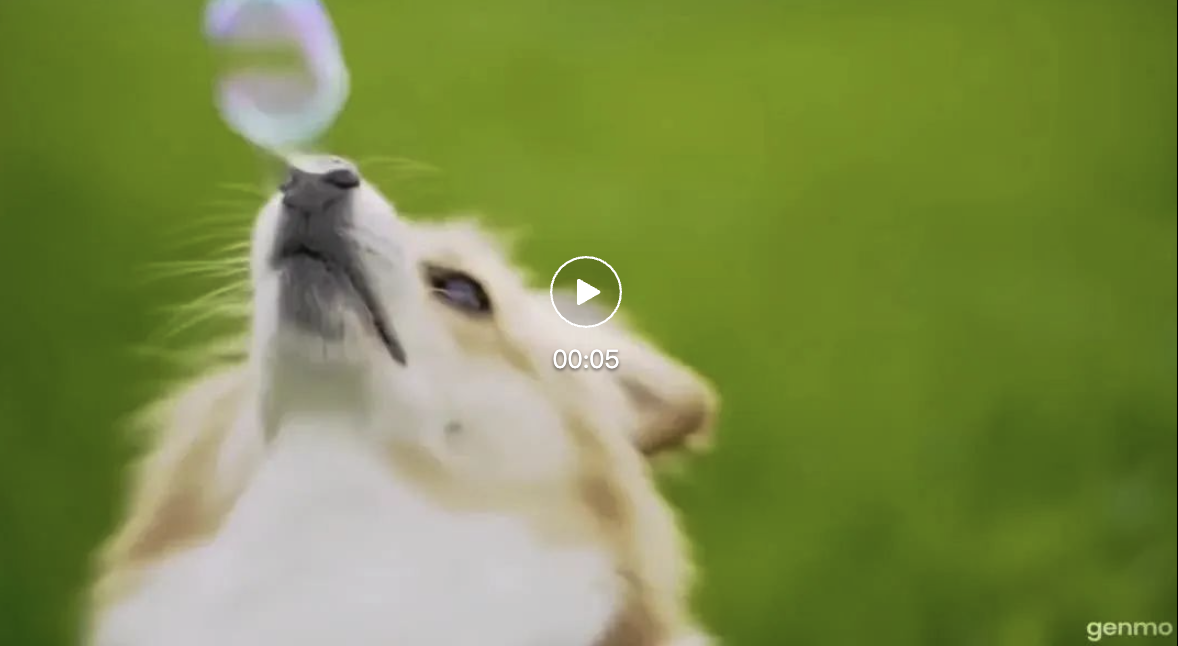 真·赛博菩萨!最大的开源视频模型来了,我们实测:有点东西,但不多