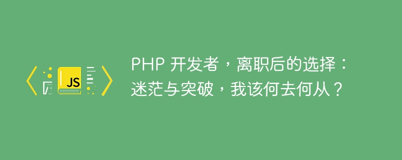 PHP 开发者，离职后的选择：迷茫与突破，我该何去何从？