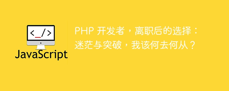 PHP 开发者,离职后的选择:迷茫与突破,我该何去何从?