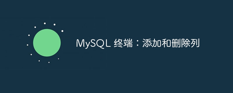 MySQL 终端:添加和删除列