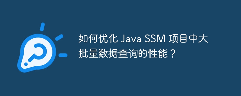 如何优化 Java SSM 项目中大批量数据查询的性能?