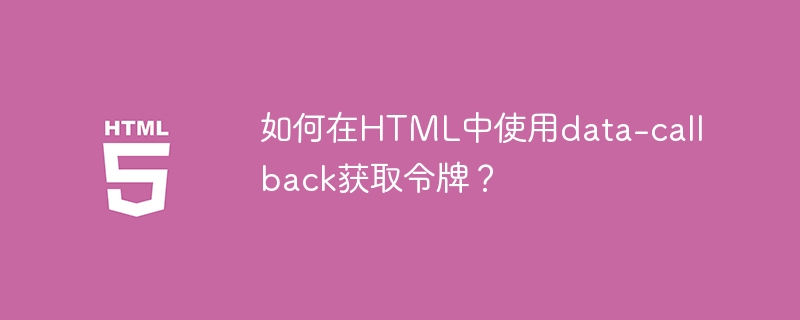 如何在HTML中使用data-callback获取令牌?