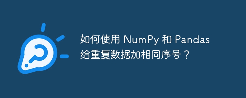 如何使用 NumPy 和 Pandas 给重复数据加相同序号?