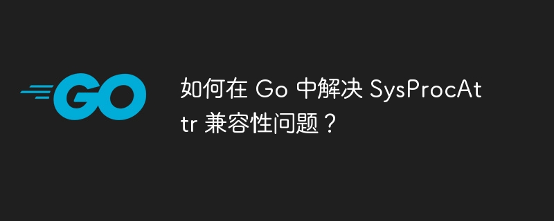如何在 Go 中解决 SysProcAttr 兼容性问题？