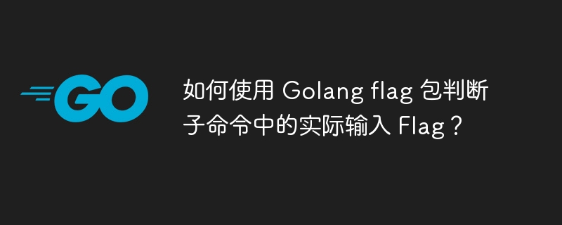 如何使用 Golang flag 包判断子命令中的实际输入 Flag?