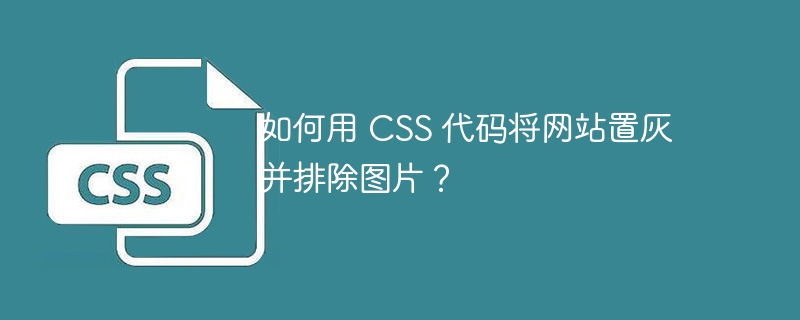 如何用 CSS 代码将网站置灰并排除图片?