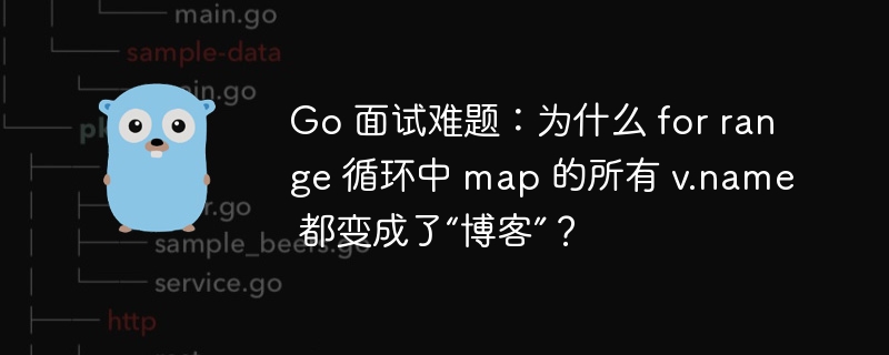 Go 面试难题:为什么 for range 循环中 map 的所有 v.name 都变成了“博客”?