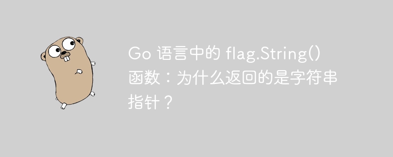 Go 语言中的 flag.String() 函数:为什么返回的是字符串指针?