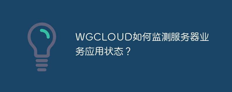 WGCLOUD如何监测服务器业务应用状态？