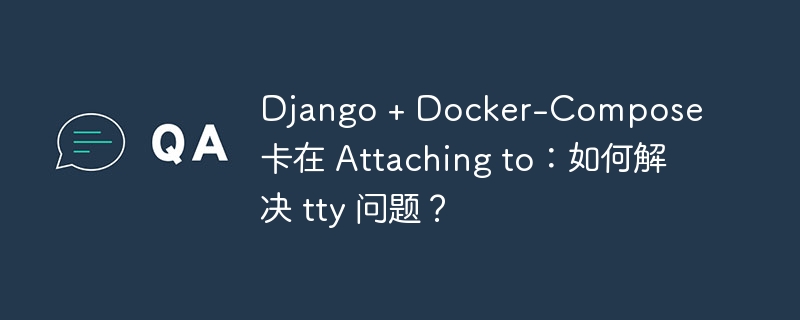 Django + Docker-Compose 卡在 Attaching to:如何解决 tty 问题?