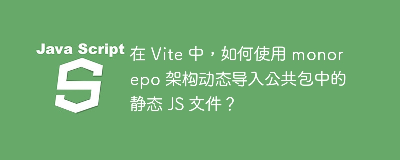 在 Vite 中,如何使用 monorepo 架构动态导入公共包中的静态 JS 文件?