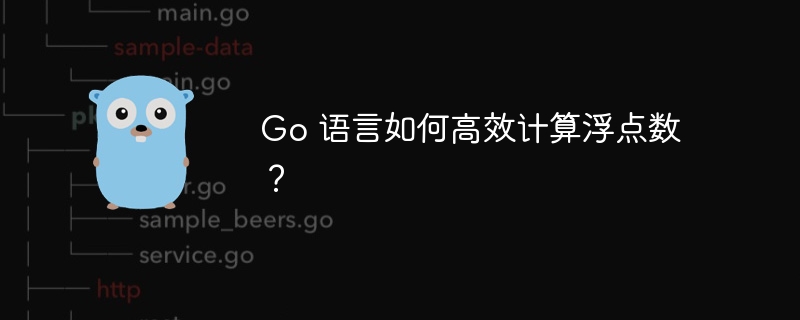 Go 语言如何高效计算浮点数?