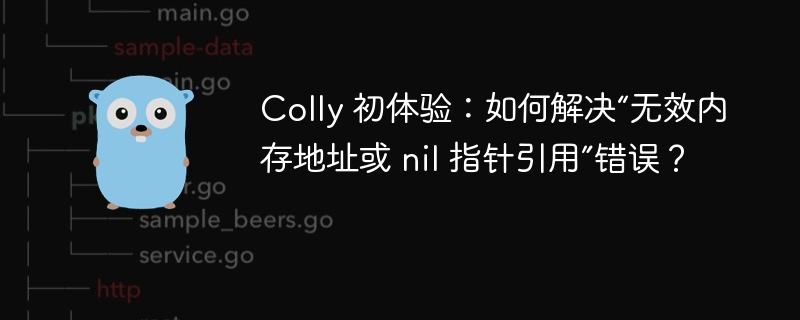 Colly 初体验:如何解决“无效内存地址或 nil 指针引用”错误?