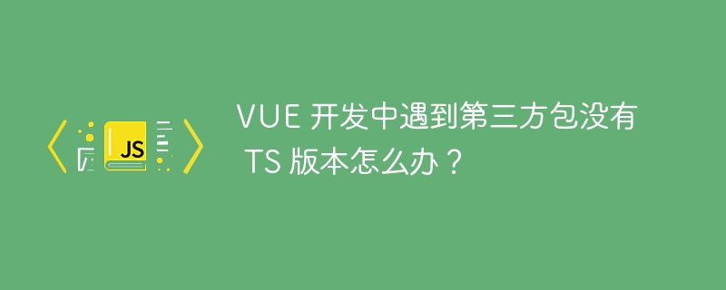 VUE 开发中遇到第三方包没有 TS 版本怎么办?