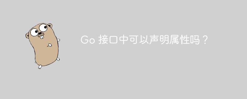 Go 接口中可以声明属性吗?