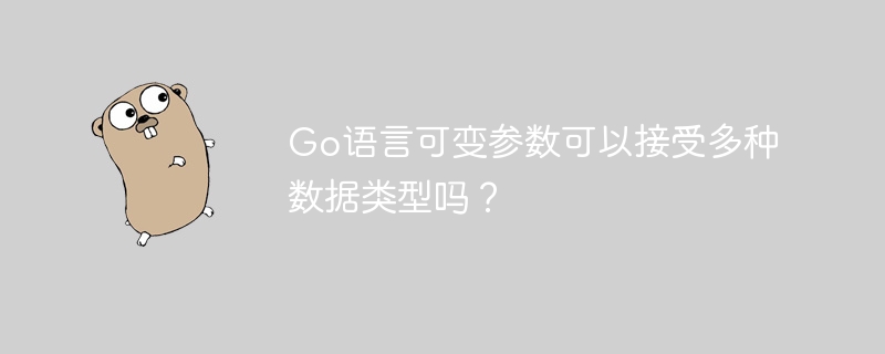 Go语言可变参数可以接受多种数据类型吗?