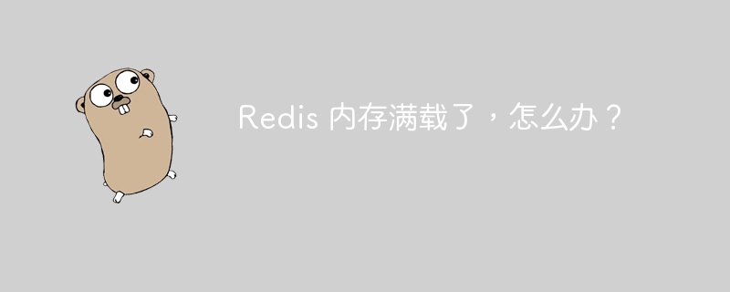 Redis 内存满载了,怎么办?