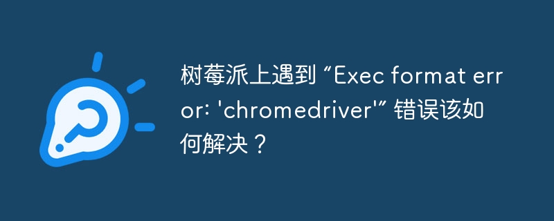 树莓派上遇到 “Exec format error: 'chromedriver'” 错误该如何解决?