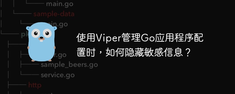 使用Viper管理Go应用程序配置时,如何隐藏敏感信息?