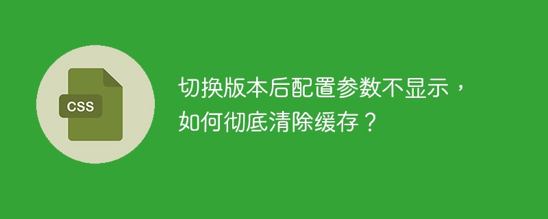 切换版本后配置参数不显示,如何彻底清除缓存?