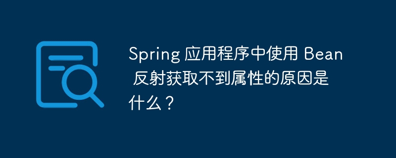Spring 应用程序中使用 Bean 反射获取不到属性的原因是什么?