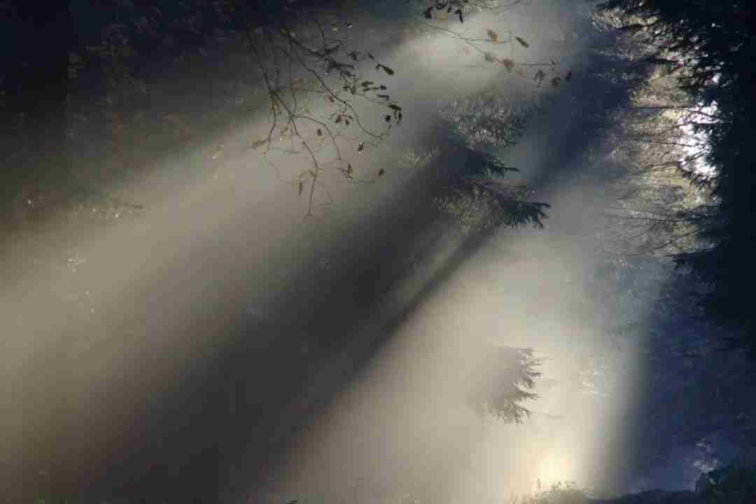 秋冬常见的氛围感元素,出门拍摄时不要错过