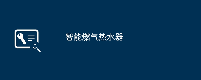 智能燃气热水器