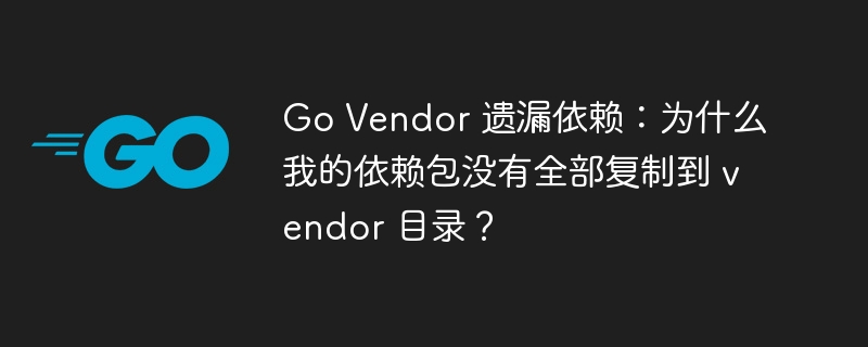 Go Vendor 遗漏依赖:为什么我的依赖包没有全部复制到 vendor 目录?