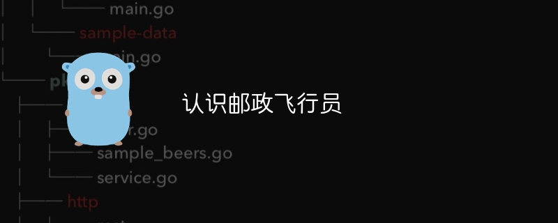 认识邮政飞行员