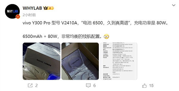 vivo Y300 Pro来袭!80W快充+6500mAh,续航王者?
