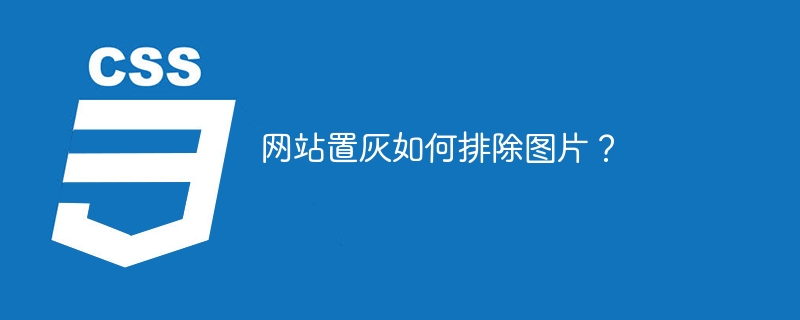 网站置灰如何排除图片?