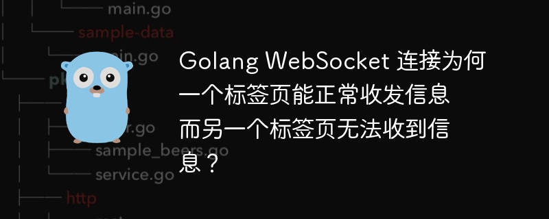 Golang WebSocket 连接为何一个标签页能正常收发信息而另一个标签页无法收到信息?