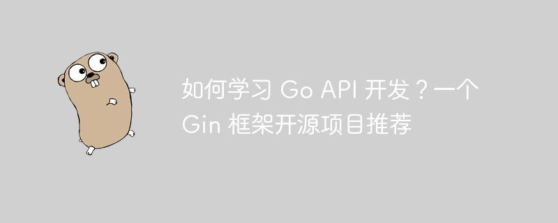 如何学习 Go API 开发?一个 Gin 框架开源项目推荐