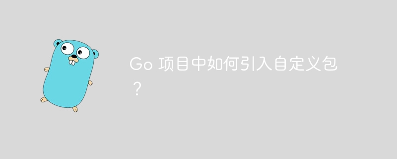 Go 项目中如何引入自定义包?
