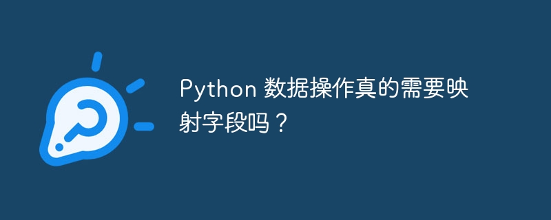 Python 数据操作真的需要映射字段吗?