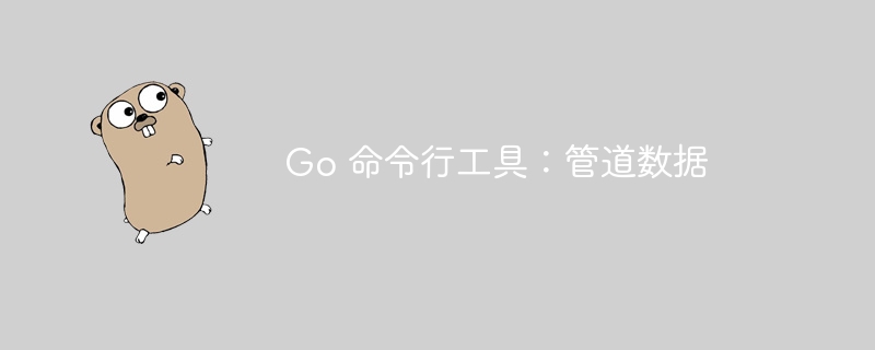 Go 命令行工具：管道数据