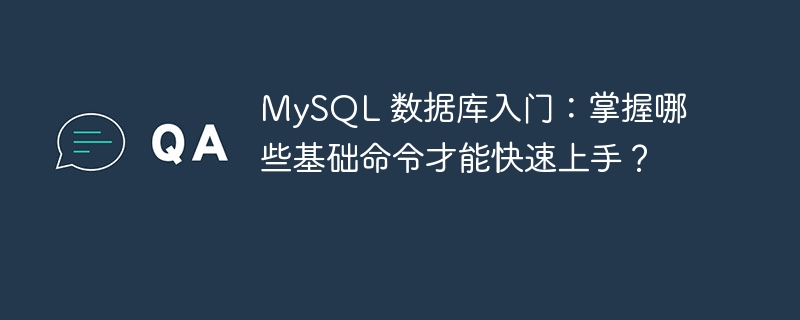MySQL 数据库入门:掌握哪些基础命令才能快速上手?