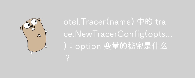 otel.Tracer(name) 中的 trace.NewTracerConfig(opts...):option 变量的秘密是什么?