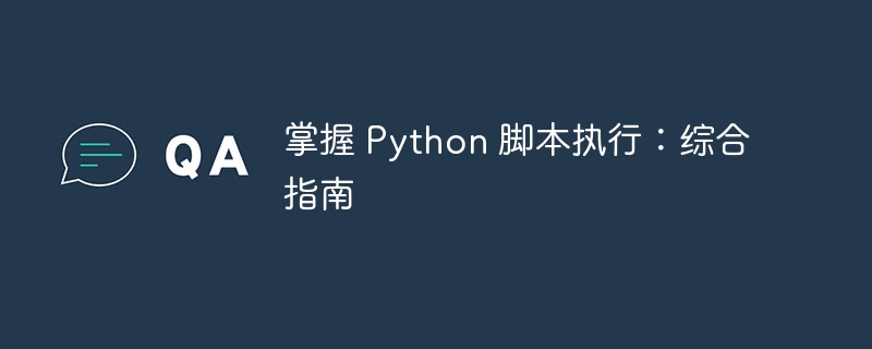 掌握 Python 脚本执行:综合指南