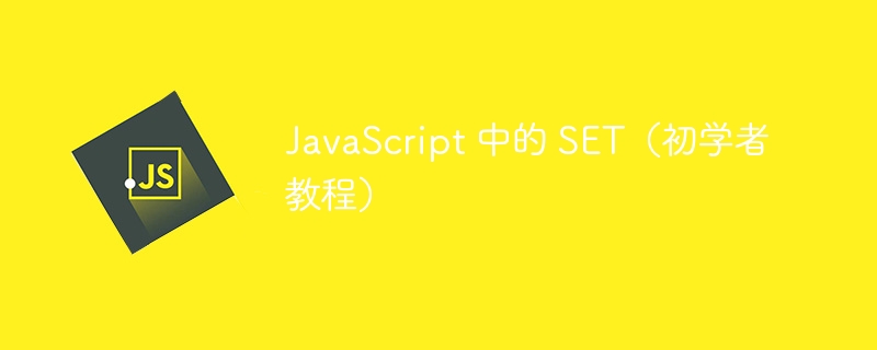 JavaScript 中的 SET(初学者教程)