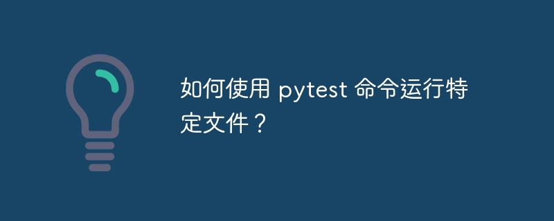 如何使用 pytest 命令运行特定文件?