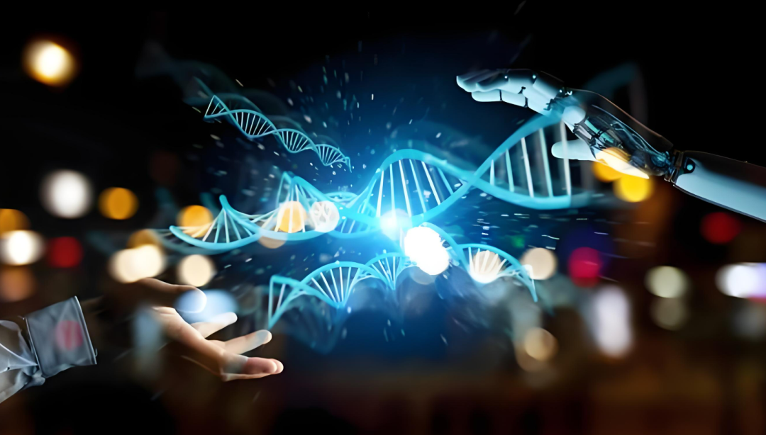 效率提高近百倍,山大团队AI新方法解析复杂器官空间组学,登Nature子刊