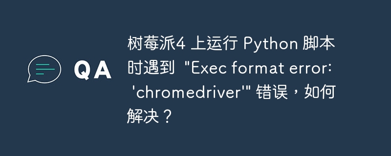 树莓派4 上运行 Python 脚本时遇到
