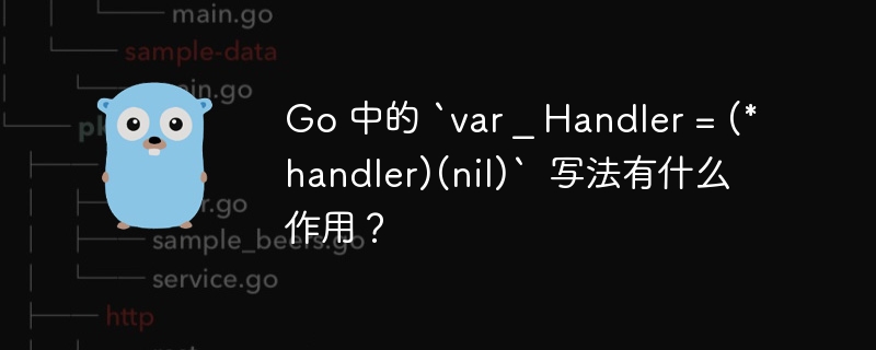 Go 中的 `var _ Handler = (*handler)(nil)` 写法有什么作用?