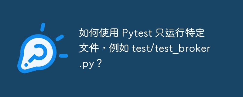 如何使用 Pytest 只运行特定文件,例如 test/test_broker.py?